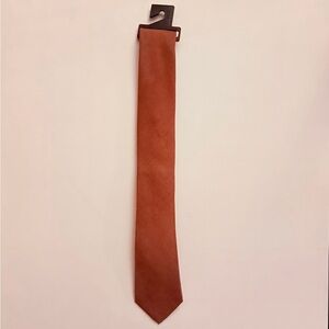 Express Men's Burnt Orange Solid Tie